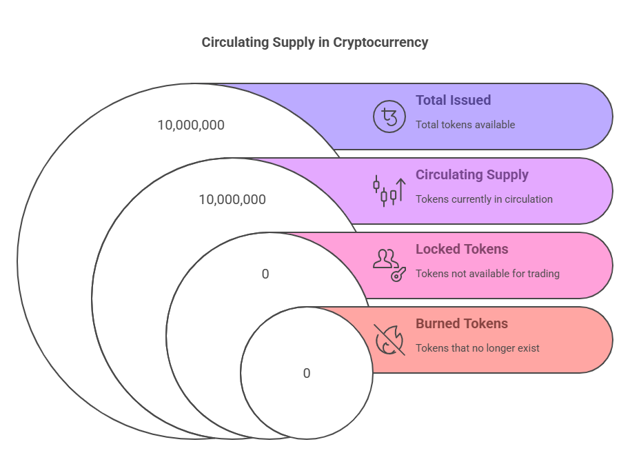 Cryptocurrency supply infographic illustrating total issued tokens, circulating supply, locked tokens, and burned tokens.
